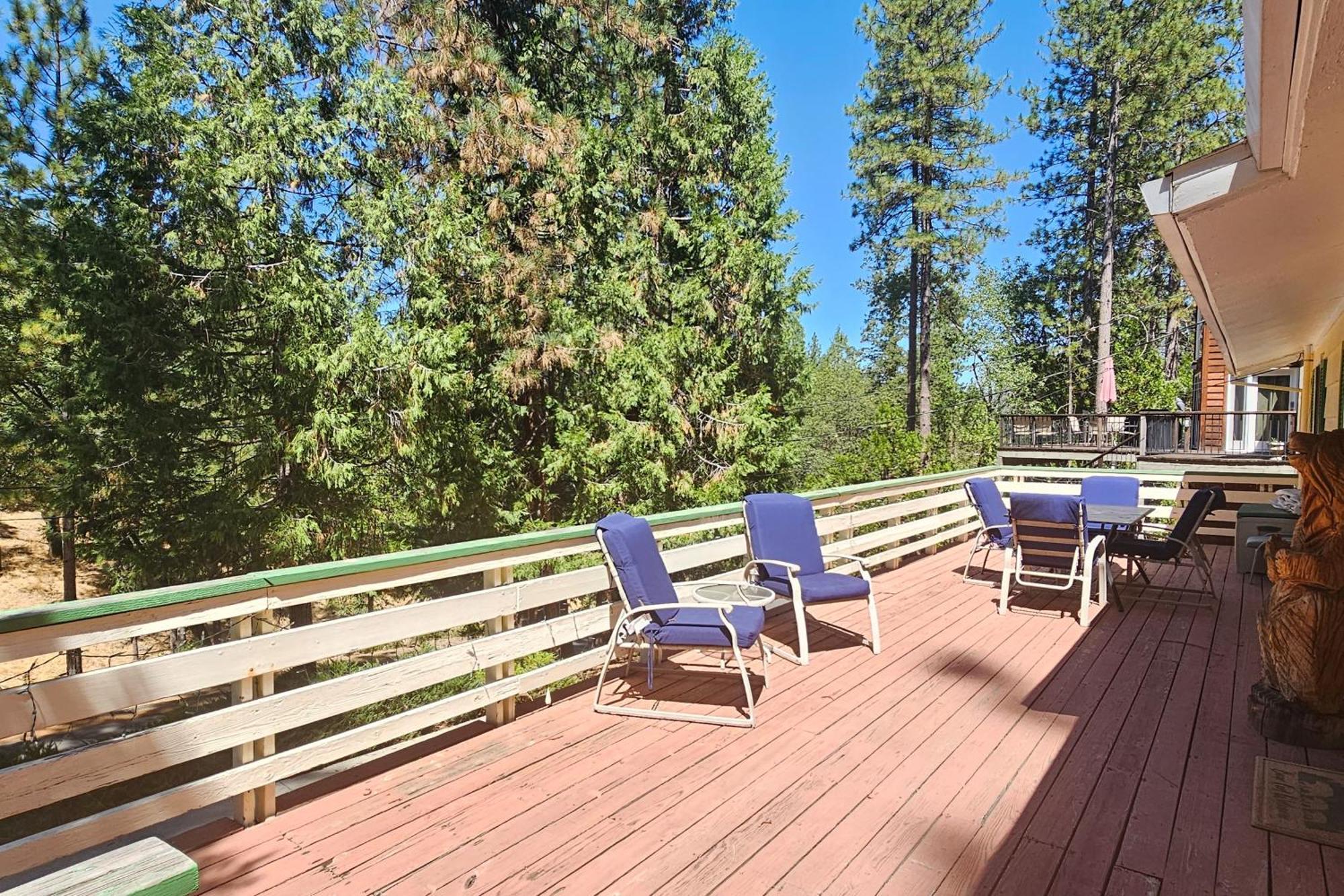 Forest Treasure * Groveland